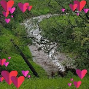 Meet your Posher, Norma